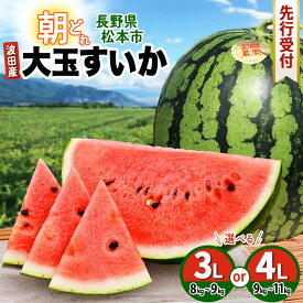 【ふるさと納税】選べる！松本市 波田産 大玉すいか 3L～4L　│ 信州 松本市 長野県 西瓜 すいか 果物 大玉 スイカ フルーツ くだもの 旬のスイカ 大玉スイカ シャリ感 ふるーつ