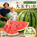 【選べる】松本市 波田産 大玉すいか 3L～4L │ 信州...