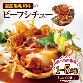 【ふるさと納税】【選べる】国産黒毛和牛のビーフシチュー 1～5人前 ｜ シチュー 洋食 温めるだけ 洋風 惣菜 冷凍 食品ふるさと納税 長野県 松本