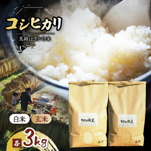 yӂ邳Ɣ[Łz V ߘa7NY yIׂށzыƉЂ̂͂Řb nk͂āqR͔|RVqJr or     Ă nk Ђ3kg MB 쌧 