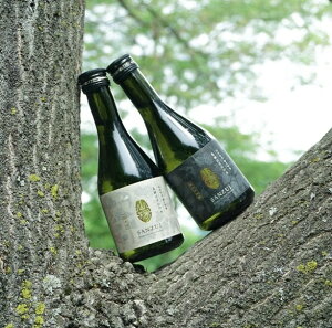 yӂ邳Ɣ[ŁzyIׂZbgzMB{ { R ݂׃Zbg b ӂ邳Ɣ[ Ď đ  { ݔ n  蕨 v[g i LO MB 쌧 