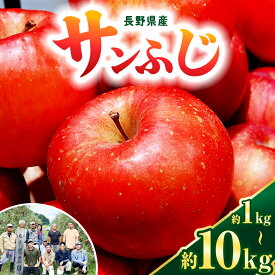 【ふるさと納税】【選べる】サンふじ 1kg~10kg (3～50玉)| ふるさと納税 果物 くだもの フルーツ サンふじ リンゴ りんご 林檎 信州産 長野県 松本市