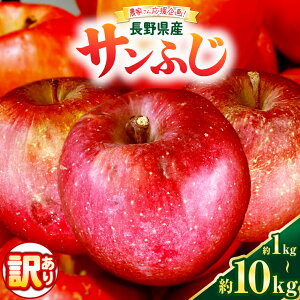 yӂ邳Ɣ[Łz { MBY 󂠂 Tӂ yIׂz1kg~10kg ( 3 ` 50 ) | _ƒ ʕ  t[c Tӂ S  ь Abv MB {s Y No.2 쌧