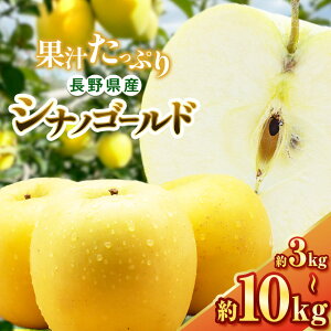 yӂ邳Ɣ[Łz10{yIׂzVimS[h 3kg`10kg(6`50) | ӂ邳Ɣ[ ʕ  t[c VimS[h S  ь MBY 쌧 {s