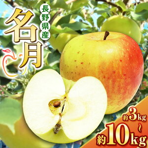 yӂ邳Ɣ[Łz10{yIׂz 3kg`10kg(9`36) | ӂ邳Ɣ[ ʕ  t[c  S  ь MBY 쌧 {s