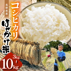 【新米 令和7年産】【ふるさと納税】【選べる】長野県産コシヒカリ（はぜかけ米）3kg～10kg│信州 松本市 米 お米 コシヒカリ 白米 ふるさと納税 松本市 美味しい はぜかけ米