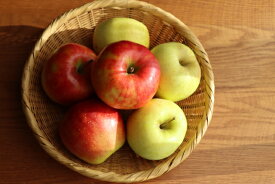 【ふるさと納税】【贈答用】 信州松本のりんご 「季節のりんご2種詰合せ」約3kg（7～12玉）｜ふるさと納税 信州産 長野県 松本市 詰め合わせ サンふじ 秋映 シナノスイート ぐんま名月 シナノゴールド りんご リンゴ 果物 フルーツ くだもの