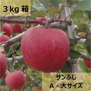 yӂ邳Ɣ[ŁzystF2025N11zyIׂzyAzMB{̂񂲁uTӂv3kgi7`12ʁjor 5kgi11`20ʁjbӂ邳Ɣ[ MBY 쌧 {s A Tӂ 