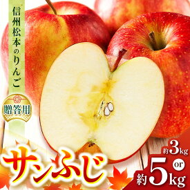 【ふるさと納税】【選べる】【贈答用】信州松本のりんご「サンふじ」約3kg or 約5kg｜ふるさと納税 信州産 長野県 松本市 サンふじ りんご リンゴ 林檎 果物 フルーツ くだもの