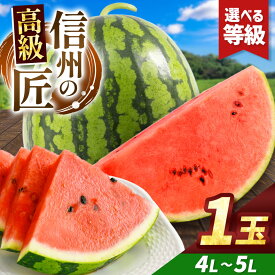 【ふるさと納税】【選べる】信州波田産 高級スイカ！信州の匠 4L～5Lサイズ 1玉｜ふるさと納税 長野県 信州 松本 果物 フルーツ すいか スイカ 旬のスイカ 大玉スイカ シャリ感 西瓜 特選 季節限定 甘い くだもの ふるーつ