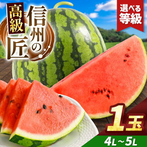 yӂ邳Ɣ[ŁzystF2026NzyIׂzMBgcY XCJIMB̏ 4L`5LTCY 1ʁbӂ邳Ɣ[ 쌧 MB { ʕ t[c  XCJ {̃XCJ ʃXC