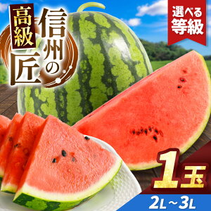 yӂ邳Ɣ[ŁzystF2026NzyIׂzMBgcY XCJIMB̏ 2L`3LTCY 1ʁbӂ邳Ɣ[ 쌧 MB { ʕ t[c  XCJ Z {̃XCJ 