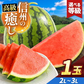 【ふるさと納税】【選べる】信州波田産 贈答用 高級スイカ！信州の癒し2L～3Lサイズ 1玉｜ふるさと納税 長野県 信州 松本 果物 フルーツ すいか スイカ 西瓜 旬のスイカ 種なしスイカ シャリ感 贈答 季節限定 甘い くだもの ふるーつ