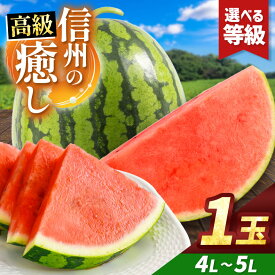【ふるさと納税】【選べる】信州波田産 贈答用 高級スイカ！信州の癒し 4L～5Lサイズ 1玉｜ふるさと納税 長野県 信州 松本 果物 フルーツ すいか スイカ 旬のスイカ 種なしスイカ シャリ感 西瓜 贈答 季節限定 甘い くだもの ふるーつ