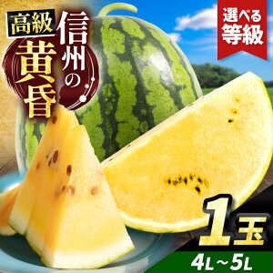 yӂ邳Ɣ[ŁzystF2026NzyIׂzMBgcY ÂXCJI MB̉ ( Fc ) 4L`5LTCY 1ʁbӂ邳Ɣ[ 쌧 MB { ʕ t[c  XCJ Z 