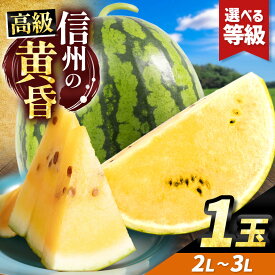 【ふるさと納税】【選べる】信州波田産 甘いスイカ！ 信州の黄昏 ( 金色羅皇 ) 2L～3Lサイズ 1玉｜ふるさと納税 長野県 信州 松本 果物 フルーツ すいか スイカ 西瓜 金色羅皇 贈答 季節限定 甘い くだもの 旬のスイカ 大玉スイカ シャリ感
