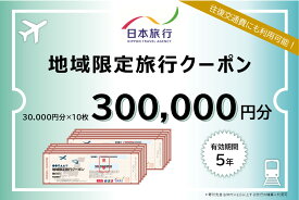 【ふるさと納税】 長野県松本市 日本旅行 地域限定旅行クーポン300,000円分 | 長野県 松本市 まつもと 長野 旅行 クーポン お出かけ 宿泊 お得 観光