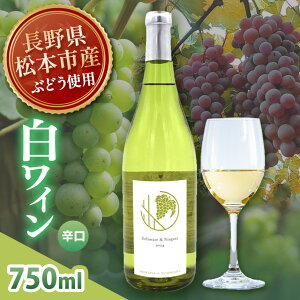 yӂ邳Ɣ[ŁzDelaware  Niagara 2024(fEFA×iCAK) 1{ 750mlbC MB C h Ԃǂ fEFA iCAK 쌧 {s V Ci[  킢   