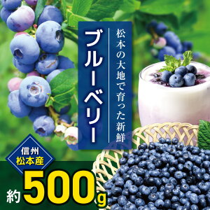 yӂ邳Ɣ[ŁzystF2026NzMB{Y@u[x[@500g u[x[ x[ ʕ t[c VN R Â  쌧 MB { ӂ邳Ɣ[