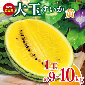yӂ邳Ɣ[ŁzystF2026NzMBgcY@ʂij 1 9`10kg   XCJ    ʕ VN R Â  gc 쌧 MB { ӂ邳Ɣ[