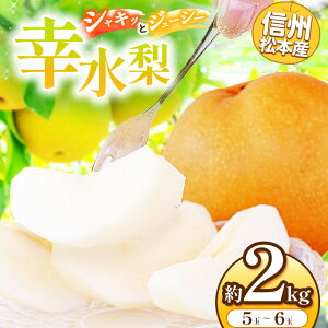 yӂ邳Ɣ[ŁzystF2026NzMB{Y@K@5`6ʖ2kg   Ȃ iV K K ʏ` ʕ  t[c R { J 쌧 MB { ӂ邳Ɣ[