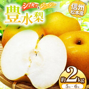 yӂ邳Ɣ[ŁzystF2026NzMB{Y@L@5`6ʖ2kg   Ȃ iV L L ʏ` ʕ H  t[c R { J 쌧 MB { ӂ邳Ɣ[