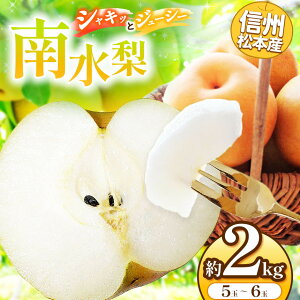 �y�ӂ邳�Ɣ[�Łz�y��s��t�F2026�N�����z�M�B���{�Y�@�쐅���@5�`6�ʖ�2kg �� �� �Ȃ� �i�V �쐅 �쐅�� �ʏ` �ʕ� �H �������� �t���[�c ���R �{ ���J�� ���쌧 �M�B ���{ �ӂ邳�Ɣ[��