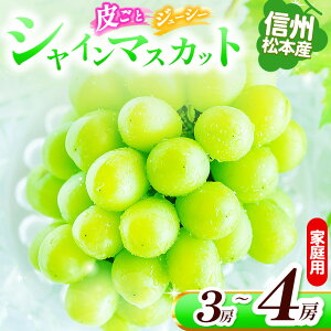 �y�ӂ邳�Ɣ[�Łz�y��s��t�F2026�N�����z�M�B���{�Y �ƒ�p �V���C���}�X�J�b�g�@3�`4�[(��1.8kg) �� �V���C���}�X�J�b�g �}�X�J�b�g �u�h�E �Ԃǂ� ���� �ʏ` �ʕ� �H �������� �t���[�c ��