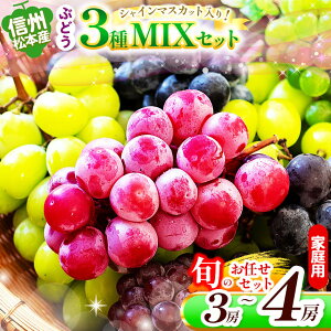 �y�ӂ邳�Ɣ[�Łz�y��s��t�F2026�N�����z�M�B���{�Y�@�Ԃǂ�3��MIX�Z�b�g�i�V���C���}�X�J�b�g����j�@3�`4�[(��1.8kg) �@���C���Z�b�g �ƒ�p �� �V���C���}�X�J�b�g �}�X�J�b�g �u�h�E ��