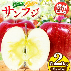 【ふるさと納税】信州松本産　サンふじ　5～6玉約2kg 通常品 │ 林檎 りんご リンゴ サンふじ 果汁 果物 貴重 くだもの フルーツ 自然 旬 ご褒美 長野県 信州 松本 ふるさと納税