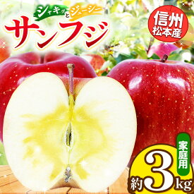 【ふるさと納税】信州松本産　サンふじ　約3kg 家庭用（訳あり品） │ 林檎 りんご リンゴ サンふじ 果汁 果物 貴重 くだもの フルーツ 自然 旬 ご褒美 長野県 信州 松本 ふるさと納税