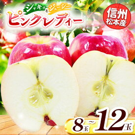 【ふるさと納税】【2026年2月発送】信州松本産 ピンクレディー 8~12玉 通常品 │ 林檎 りんご リンゴ ピンクレディー 果汁 果物 貴重 くだもの フルーツ 自然 旬 ご褒美 長野県 信州 松本 ふるさと納税
