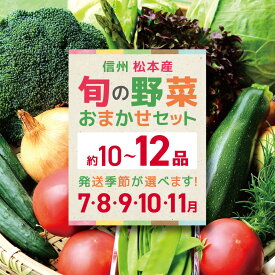 【ふるさと納税】【選べる季節】信州松本産・旬の野菜 おまかせセット（約10～12品）7月発送 or 8月発送 or 9月発送 or 10月発送 or 11月発送 │ 野菜 やさい 旬 旬の野菜 新鮮 自然 セット 野菜セット 美味しい 長野県 信州 松本 ふるさと納税
