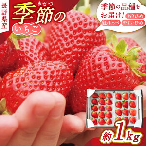 yӂ邳Ɣ[Łz{Y G߂̂@1kgiЂ߁Egق؁E悢Ђ߁j  C`S Ђ gق 悢Ђ ʕ t[c MB 쌧 { ӂ邳Ɣ[