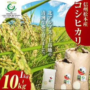 yӂ邳Ɣ[ŁzyIׂeʁz10甭 MB{YRVqJ 1kg or 5kg or 10kgb ӂ邳Ɣ[ {s 쌧 {s RVqJ  R   ͂ 蕨 