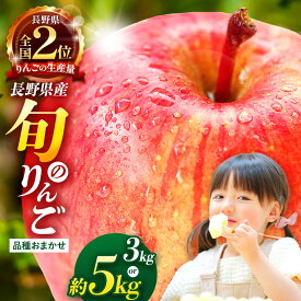 【ふるさと納税】【選べる】信州産りんご【品種おまかせ】約3kg or 約5kg【秋映・シナノスイート・シナノゴールド・名月・サンふじ】 | ふるさと納税 サンふじ 秋映 シナノスイート シナノゴールド サンふじ リンゴ りんご 林檎 信州産 長野県 松本市