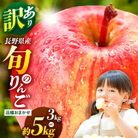 【ふるさと納税】【選べる内容量】信州産 訳ありりんご【品種おまかせ】約3kg or 約5kg【秋映・シナノスイート・シナノゴールド・名月・サンふじ】 | ふるさと納税 訳あり サンふじ 秋映 シナノスイート シナノゴールド サンふじ 信州 長野県 松本市