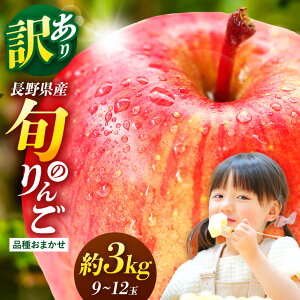 【ふるさと納税】松本市産 訳ありりんご【品種おまかせ】約3kg( 9〜12玉) 【秋映・シナノスイート・シナノゴールド・サンつがる・サンふじ】 | ふるさと納税 果物 くだもの サンふじ 秋映