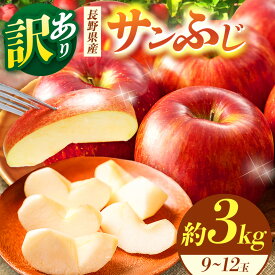 【ふるさと納税】【選べる】松本市産 訳ありサンふじ 約3kg or 5kg | ふるさと納税 果物 訳あり くだもの フルーツ サンふじ リンゴ りんご 林檎 信州産 長野県 松本市