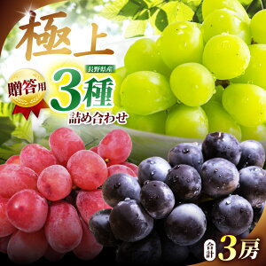 yӂ邳Ɣ[Łz2026Ns\ p MBY ylݍ킹z3[yVC}XJbgAiKmp[vANC[Wzb VC}XJbg  Ԃǂ iKmp[v NC[