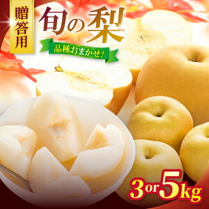 yӂ邳Ɣ[ŁzyIׂz2026Ns\ p MB{Y yKELE쐅z܂lߍ킹Zbg 3kg or 5kg bӂ邳Ɣ[  Ȃ K L 쐅 MBY 쌧 {