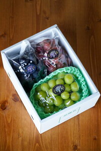 yӂ邳Ɣ[ŁzystzyIׂiZbgz {sRӎY@VC}XJbgEAZbg`DZbg | VC}XJbg iKmp[v NNC[[WR xm̋P Ԃǂ u