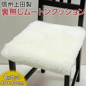 【ふるさと納税】信州上田製裏無しムートンクッション4枚セット　お届け：60日以内に発送いたします