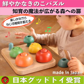 【ふるさと納税】木のおもちゃ/きのこのこのこ 積み木 パズル バリアフリー 知育玩具 おしゃれ 誕生日 出産祝い 赤ちゃん おもちゃ 脳トレ 木製 リハビリ