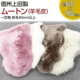 【ふるさと納税】信州上田製ムートン（羊毛皮）一匹物　長毛40mm以上　お届け：60日以内に発送いたします