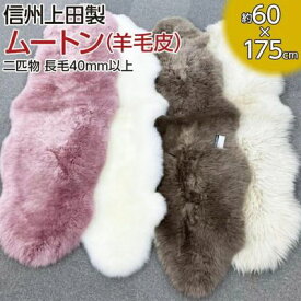 【ふるさと納税】信州上田製ムートン（羊毛皮）二匹物　長毛40mm以上　お届け：60日以内に発送いたします
