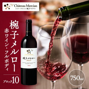 yӂ邳Ɣ[Łz C oq[ ubN10 750ml oqCi[i Vg[EV [ ԃC t{fB   AR[ Mtg 蕨 v[g 