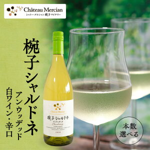 yӂ邳Ɣ[ŁzC oqVhl AEbfbh 750ml Vg[EV Vhl C h   AR[ Mtg 蕨 v[g@ cs @͂F30ȓ