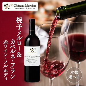 yӂ邳Ɣ[ŁzC oq[ JxlEt 750ml Vg[EV [ ԃC t{fB   AR[ Mtg 蕨 v[g@ cs @͂F30