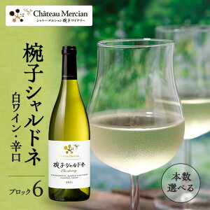 【ふるさと納税】限定 ワイン 椀子シャルドネ ブロック6 内容量選べる 750ml 椀子ワイナリー限定品 シャトー・メルシャン シャルドネ 白ワイン 辛口 お酒 酒 アルコール ギフト 贈り物 プレゼ